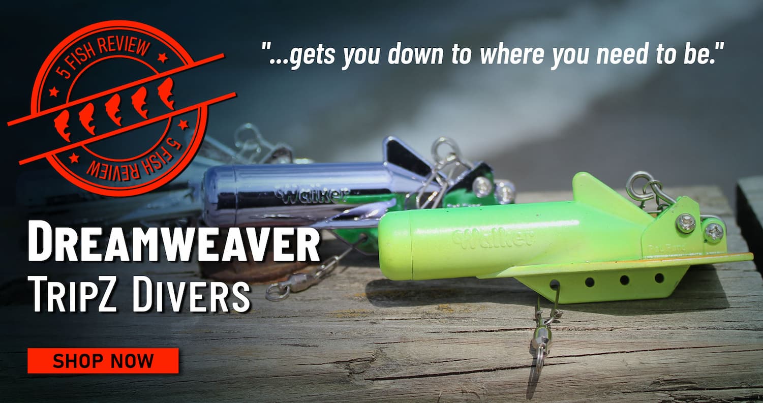5 FIsh Review Dreamweaver TripZ Divers "...gets you down to where you need to be." Shop Now