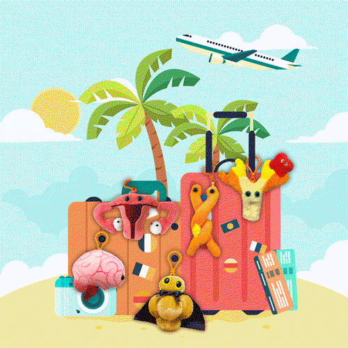 Key Chain Summer Sale