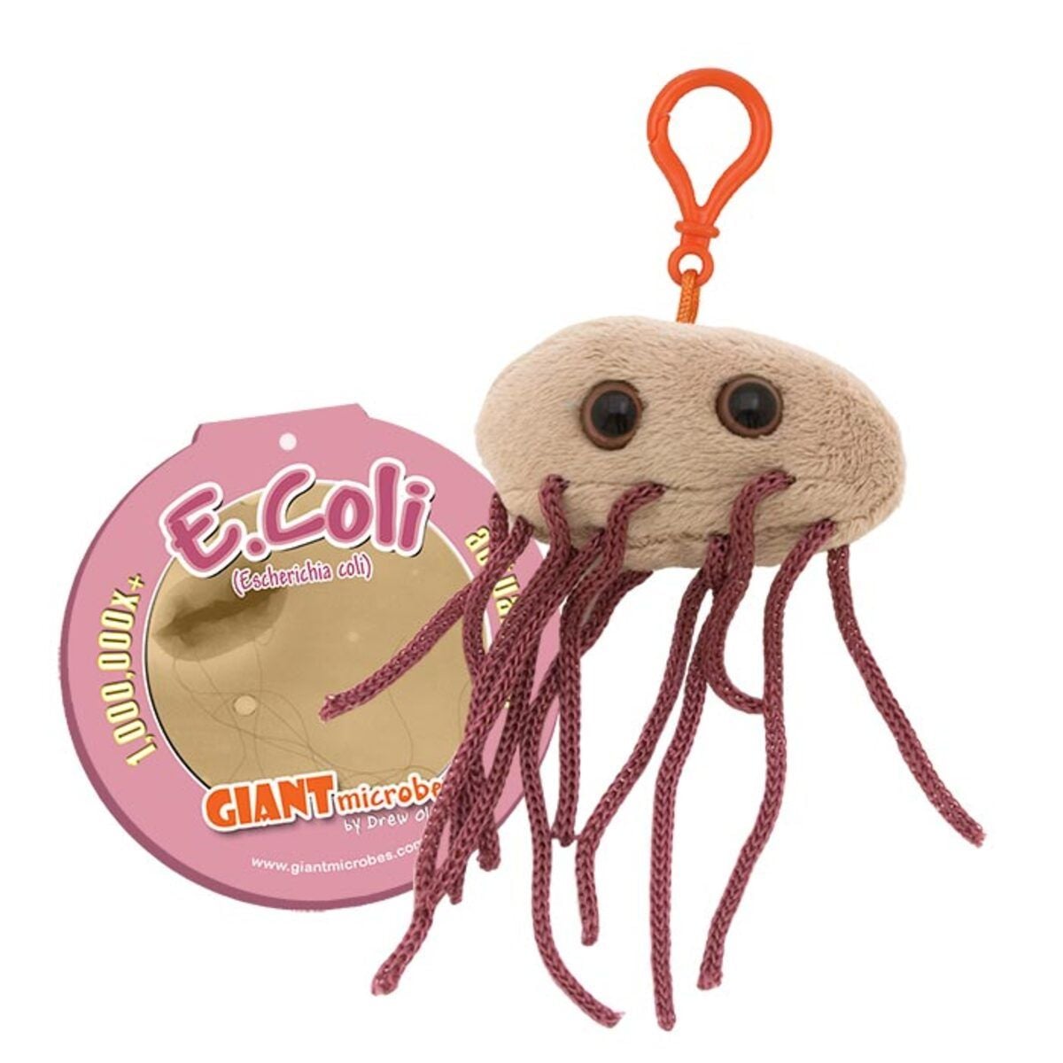 E coli key chain tag