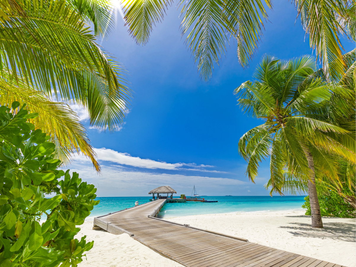 The Maldives