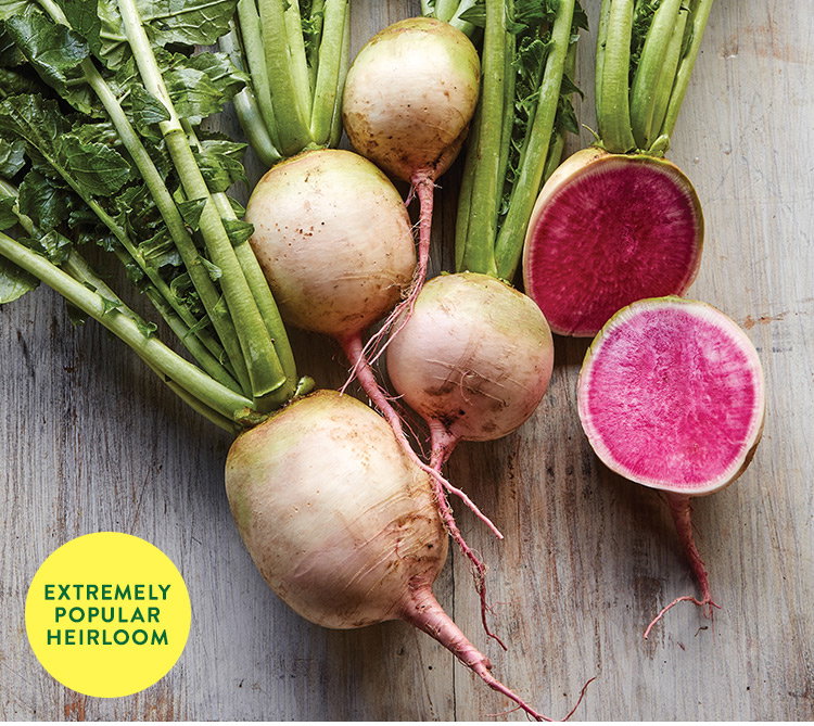 Watermelon Radish Seeds