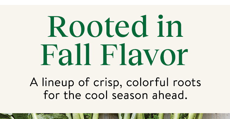 Farmers Market Seeds for Fall