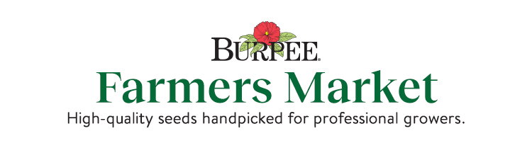 Farmer's Market