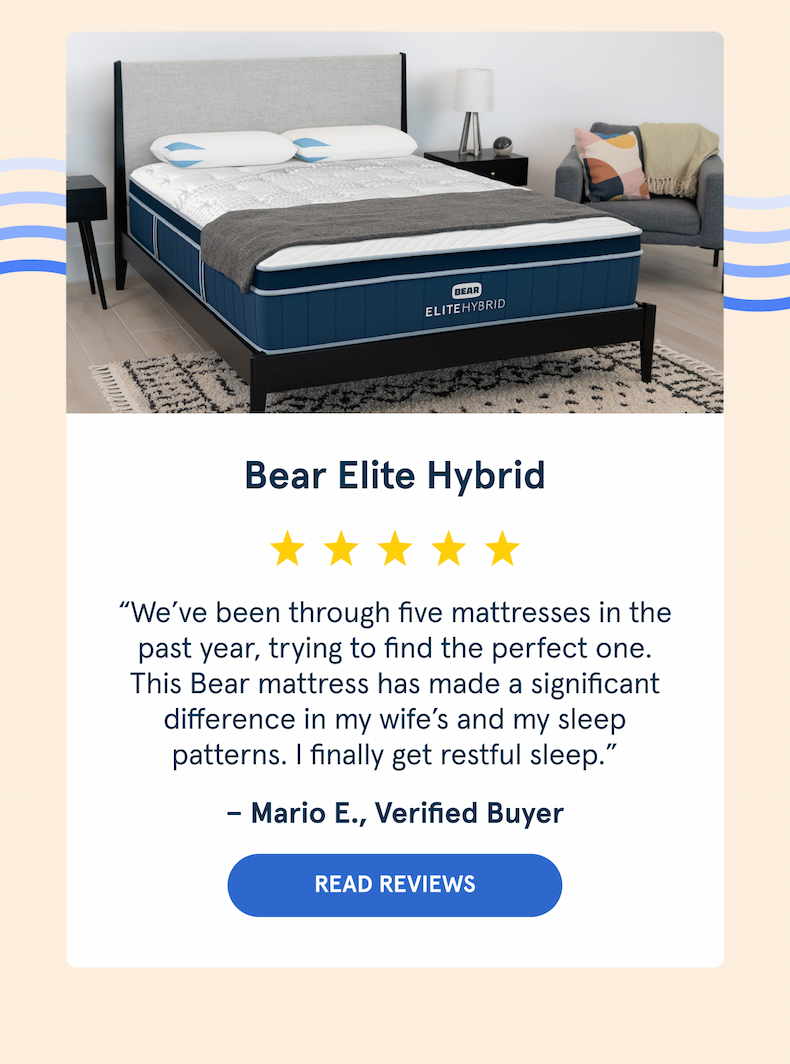 Bear Elite Hybrid