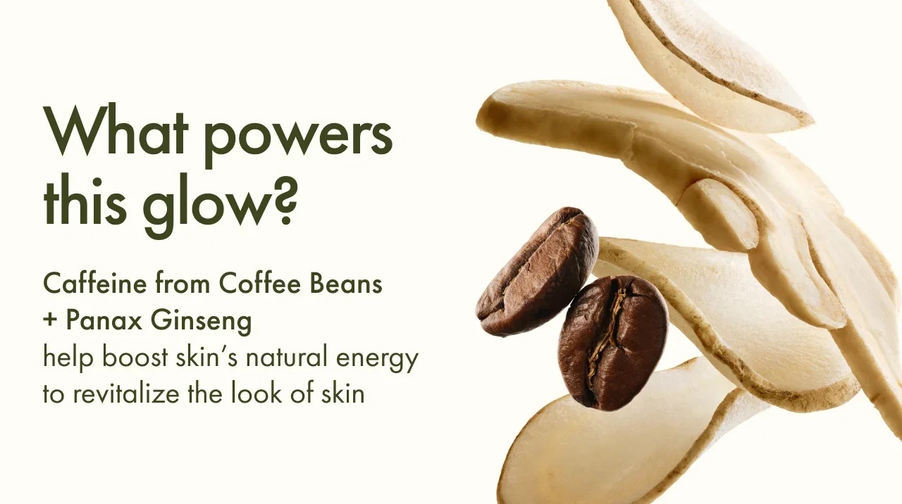 What powers this glow? | Caffeine from Coffee Beans + Panax Ginseng | help boost skin's natural energy to revitalize the look of skin
