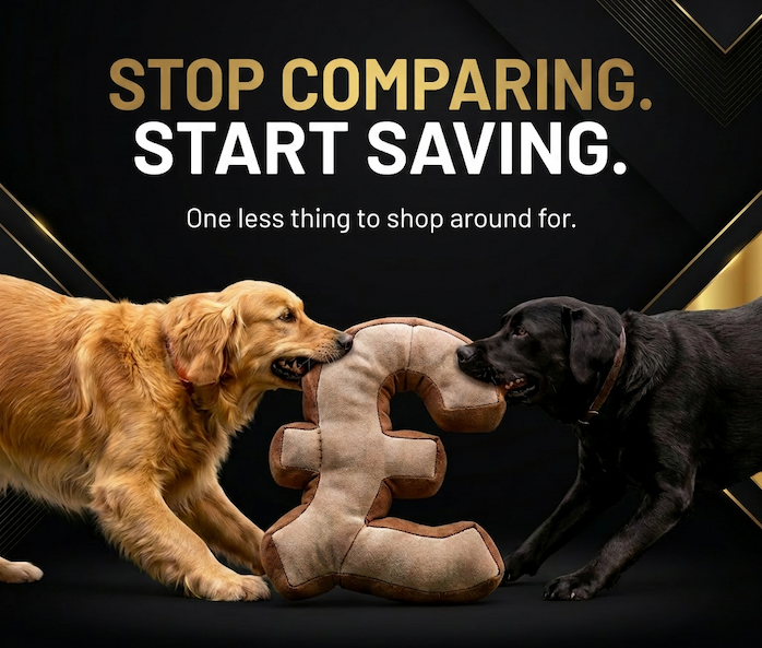 Stop comparing. Start saving.