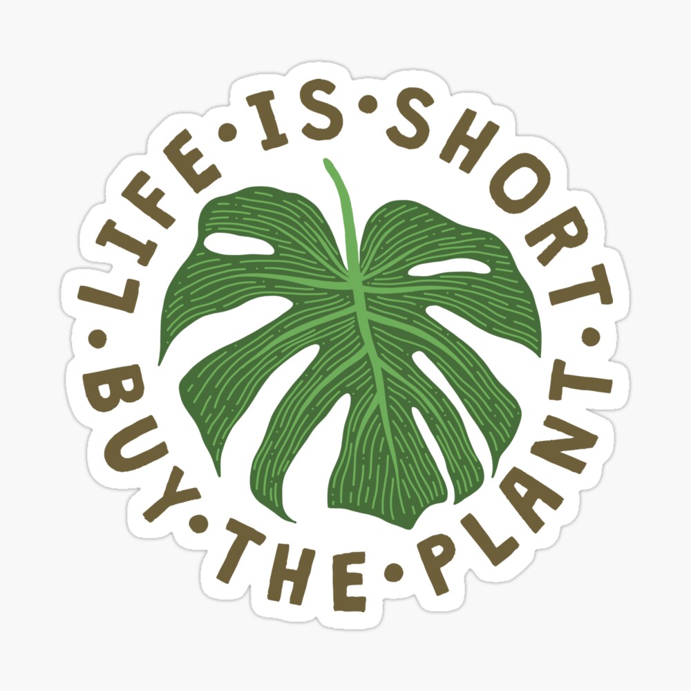 TheLoveShop