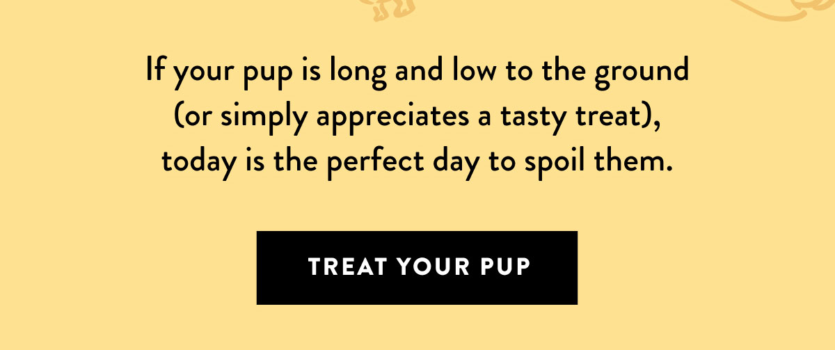 Shop Beef & Cheese Treats