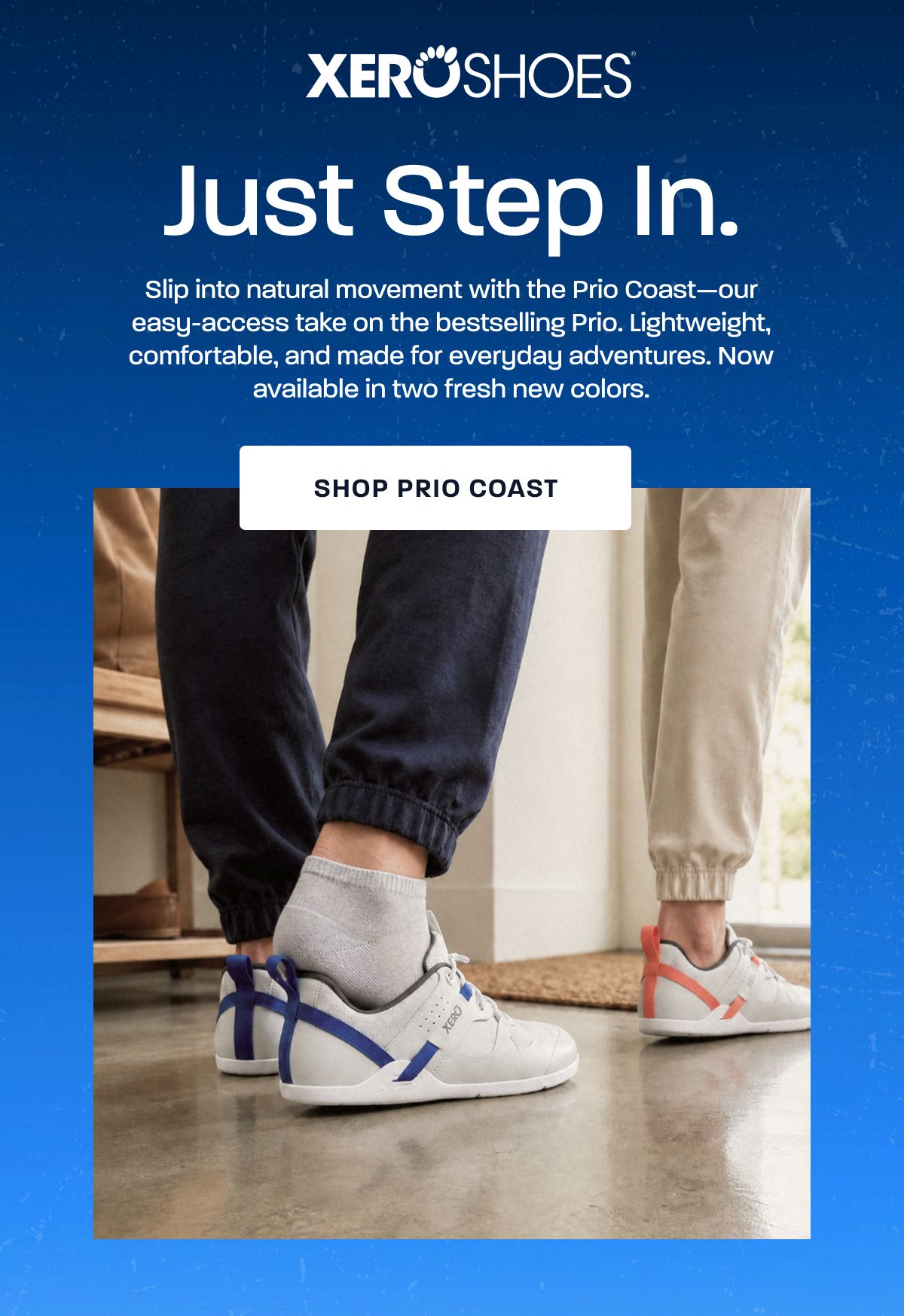Shop Prio Coast