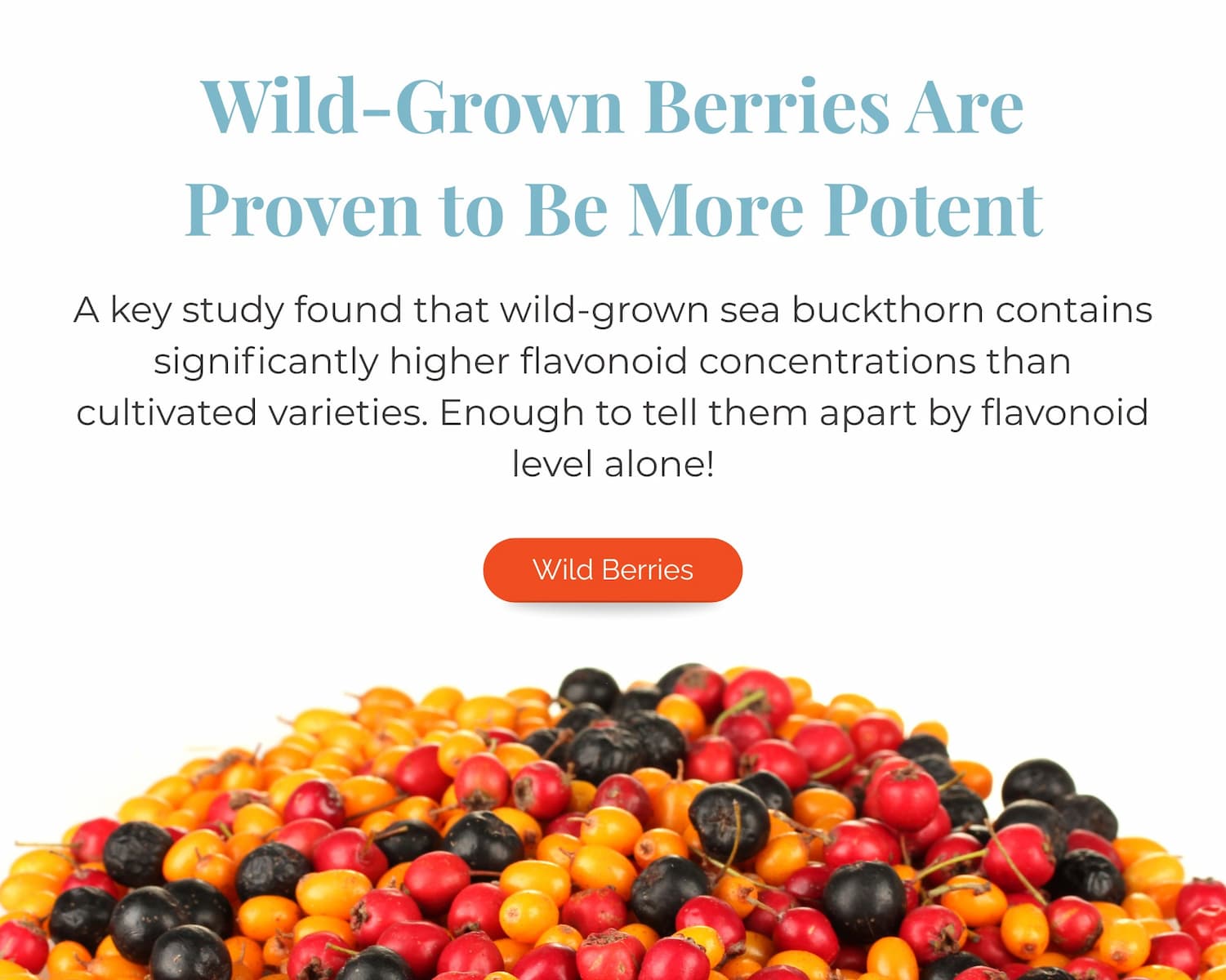 wild berries are more potent