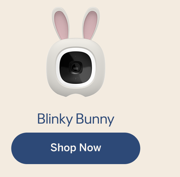 Blinky Bunny