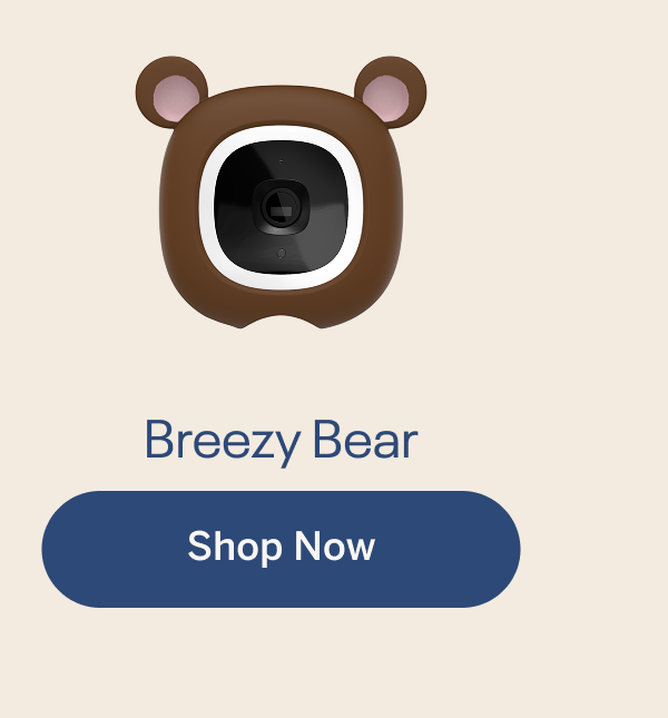 Breezy Bear