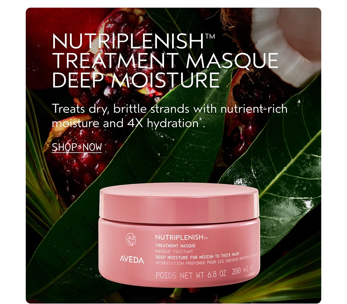 NUTRIPLENISH™ TREATMENT MASQUE DEEP MOISTURE | Treats dry, brittle strands with nutrient-rich moisture and 4X hydration*. | SHOP NOW