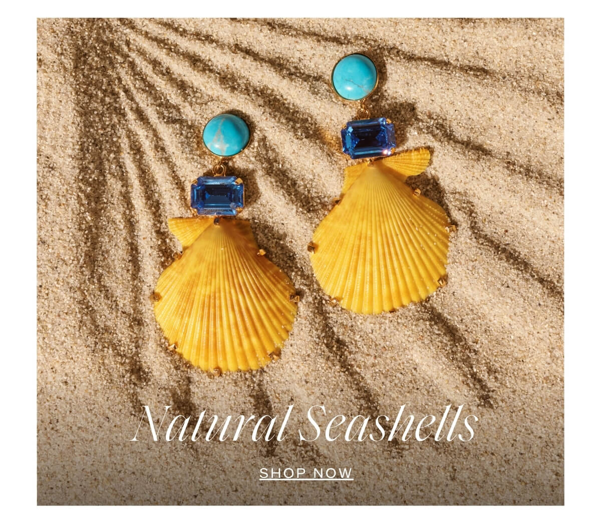 Natural Shells - Shop Now