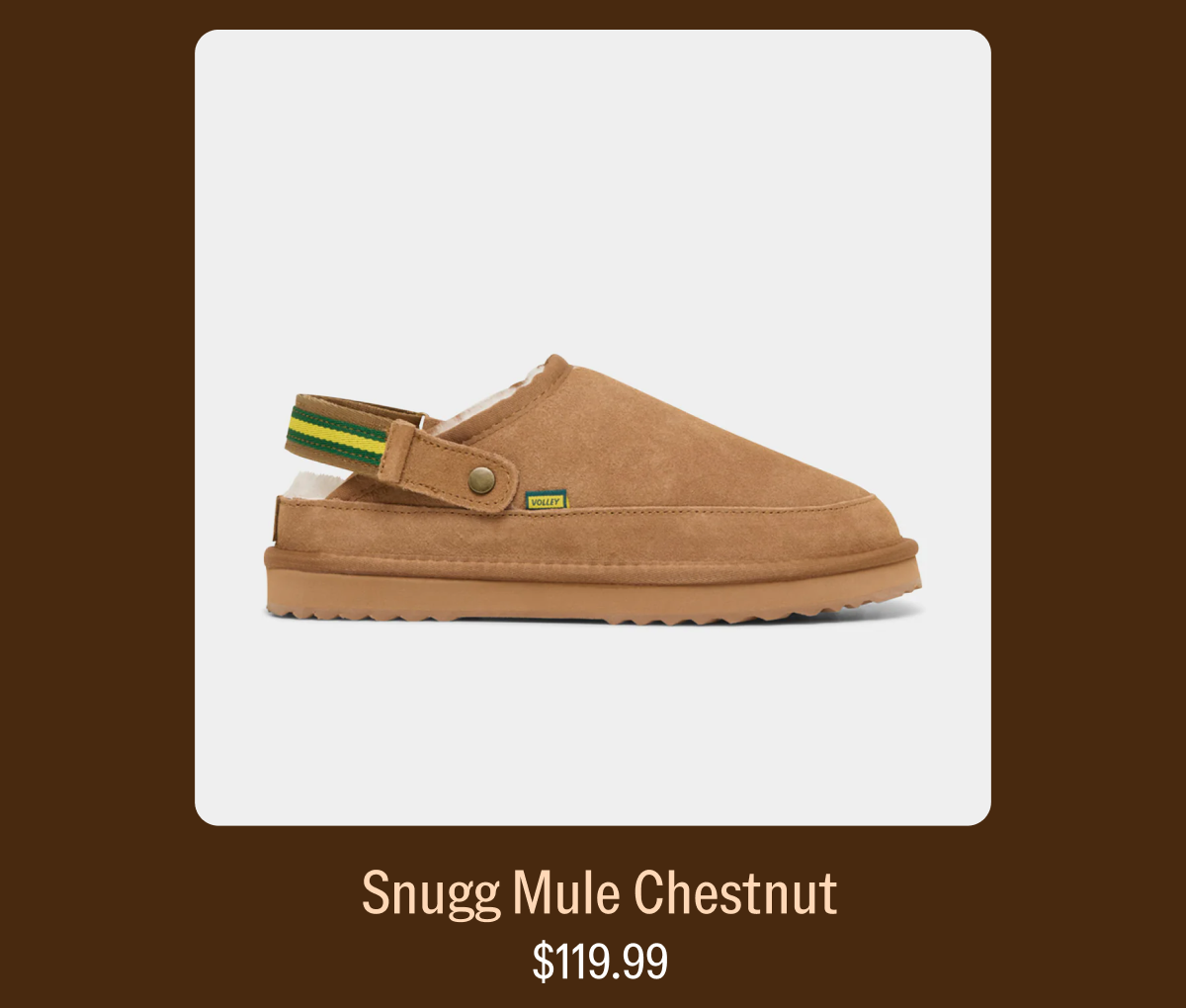 snugg mule chestnut