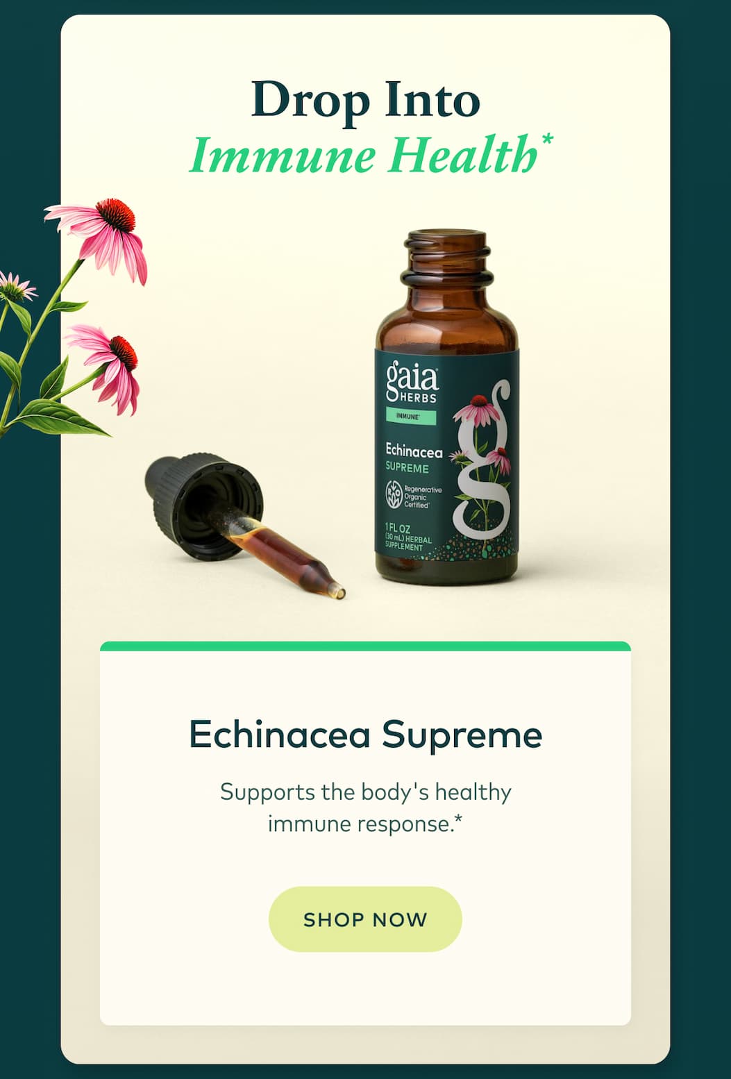 Echinacea Supreme
