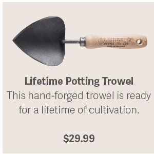 Lifetime Potting Trowel - This hand-forged trowel is ready for a lifetime of container cultivation. - $29.99 