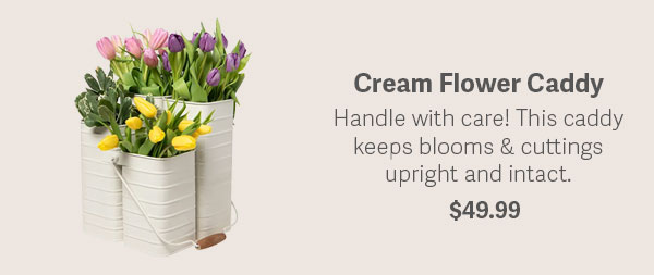 Cream Flower Caddy - Handle with care! This caddy keeps blooms & cuttings upright and intact. - $49.99