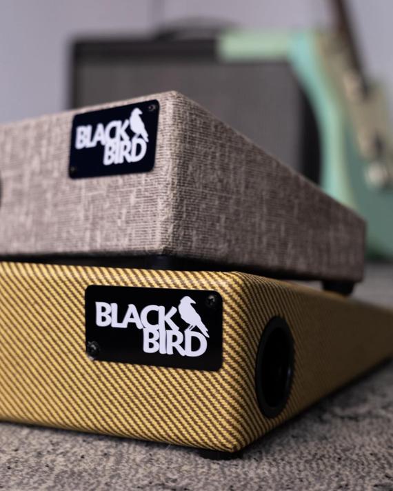 Blackbird Has Returned!