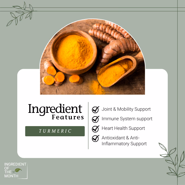 Ingredient Features - Turmeric