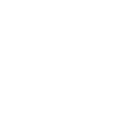 ERM_ICO_white_check_text-1-1