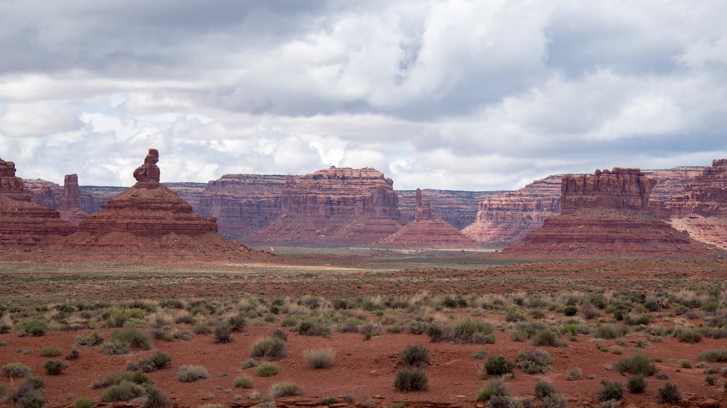 bears ears