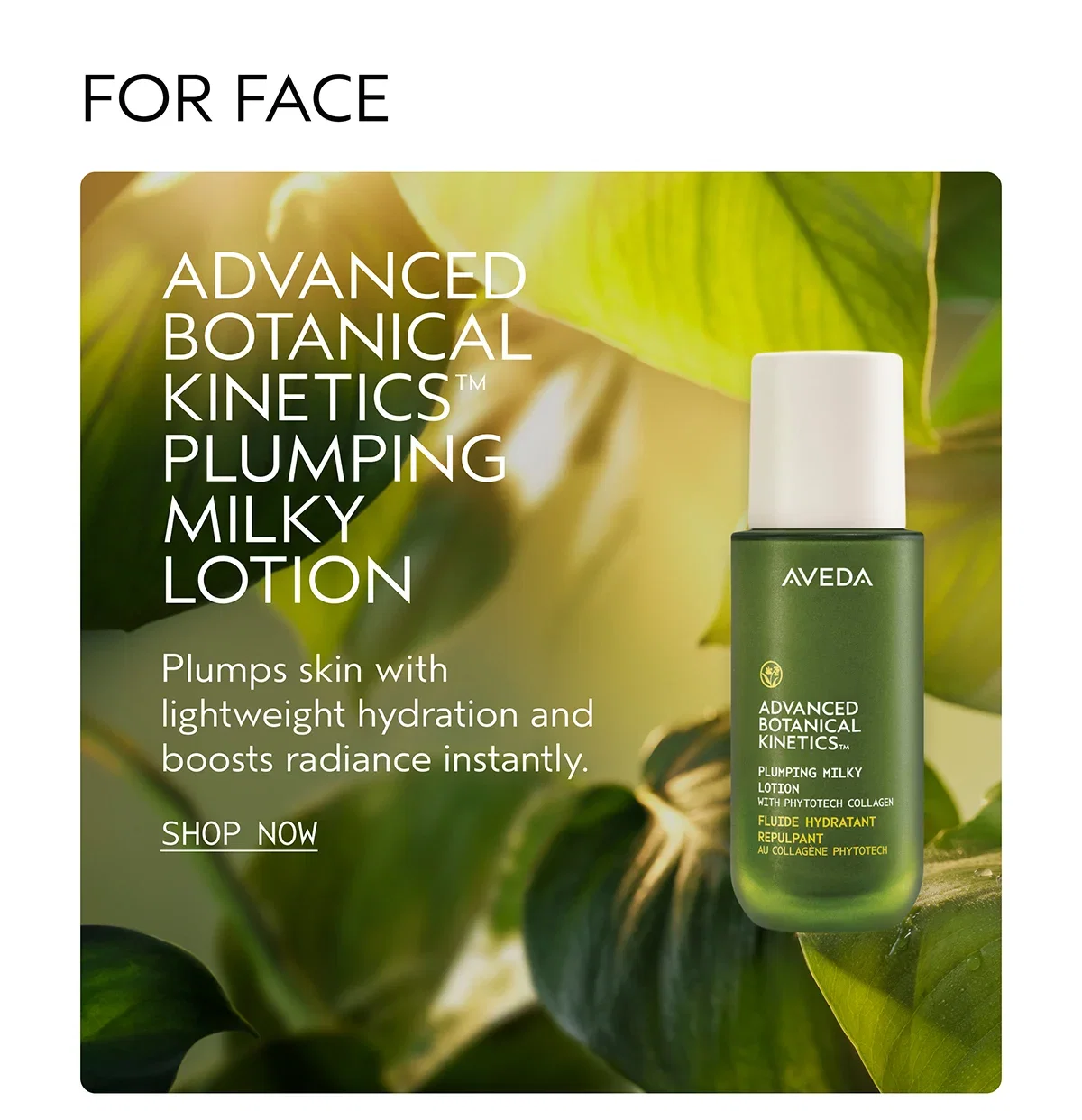 FOR FACE | ADVANCED BOTANICAL KINETICS™ PLUMPING MILKY LOTION | Plumps skin with lightweight hydration and boosts radiance instantly. | SHOP NOW