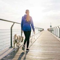 Walking Is Great, But Does It Actually Protect Cognitive Function?