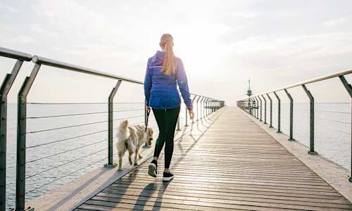 Walking Is Great, But Does It Actually Protect Cognitive Function?