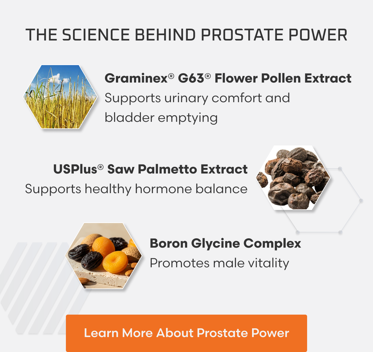 THE SCIENCE BEHIND PROSTATE POWER Graminex® G63® Flower Pollen Extract ✓ Supports urinary comfort and bladder emptying USPlus® Saw Palmetto Extract ✓ Supports healthy hormone balance Boron Glycine Complex ✓ Promotes male vitality