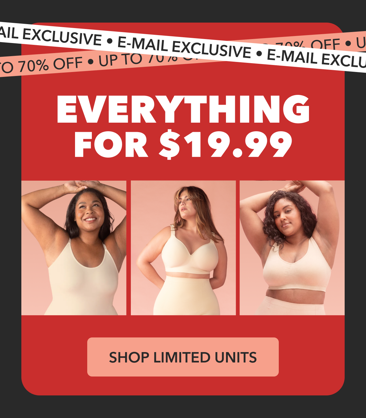 EVERYTHING FOR $19.99