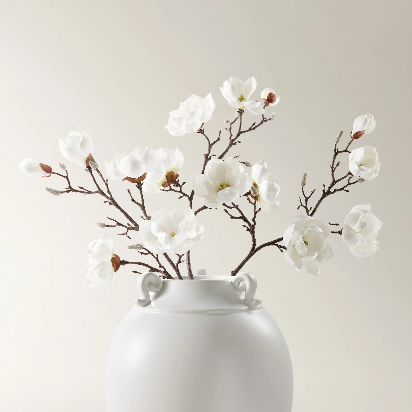 Image of Magnolia White