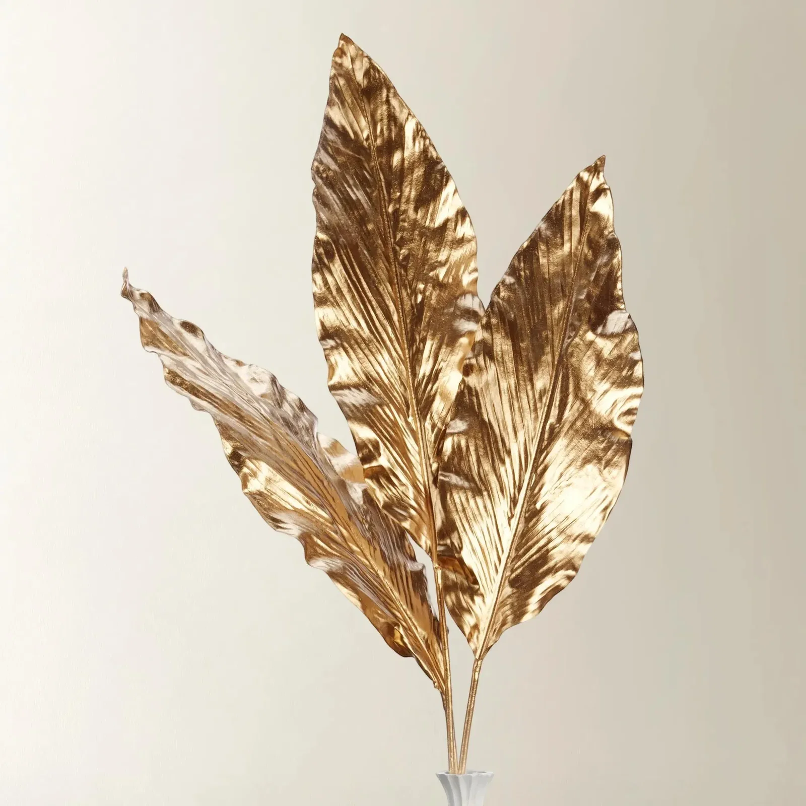 Image of Canna Leaf Branch