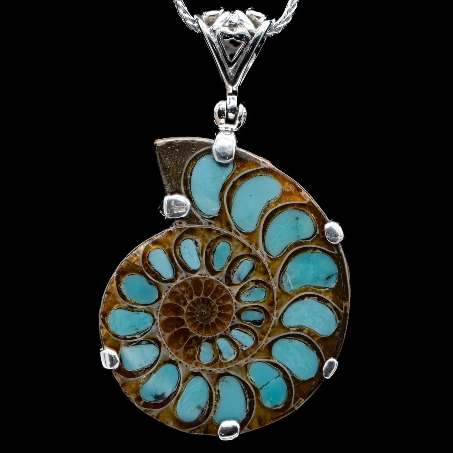 Image of Ammonite Jewelry