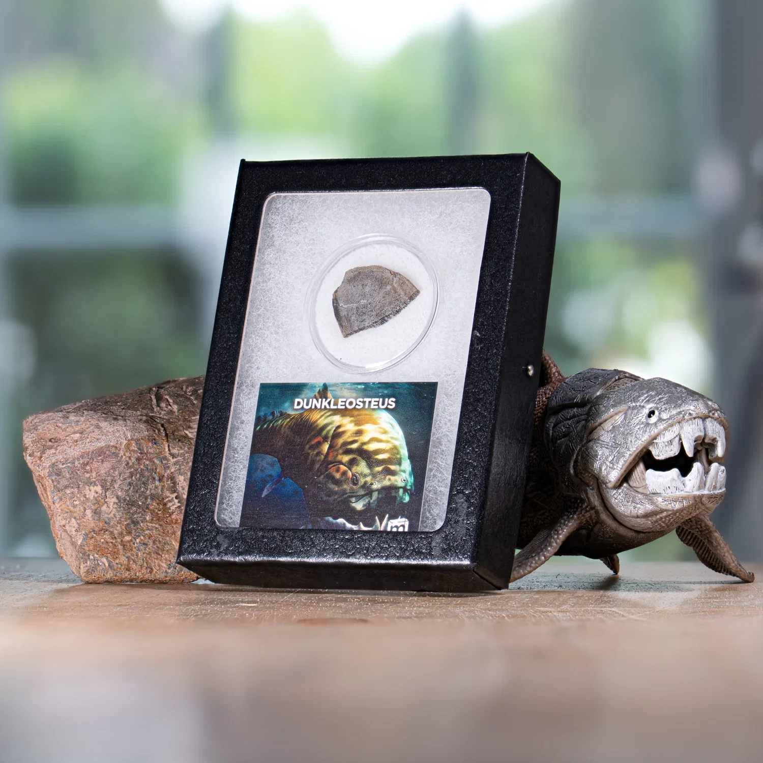 Image of Dunkleosteus - Skull Fossil Fragment