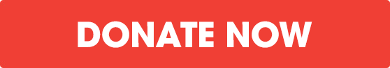 Donate Now