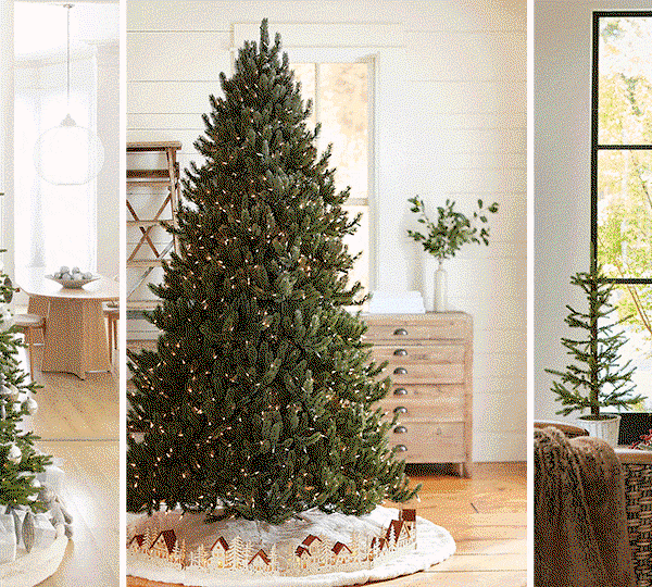 Decorated Balsam Hill Trees