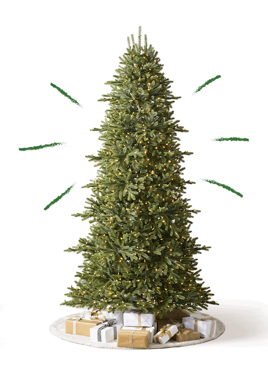 Balsam Hill Norway Spruce Tree