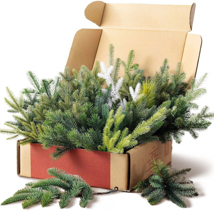 Branch Sample Kit box