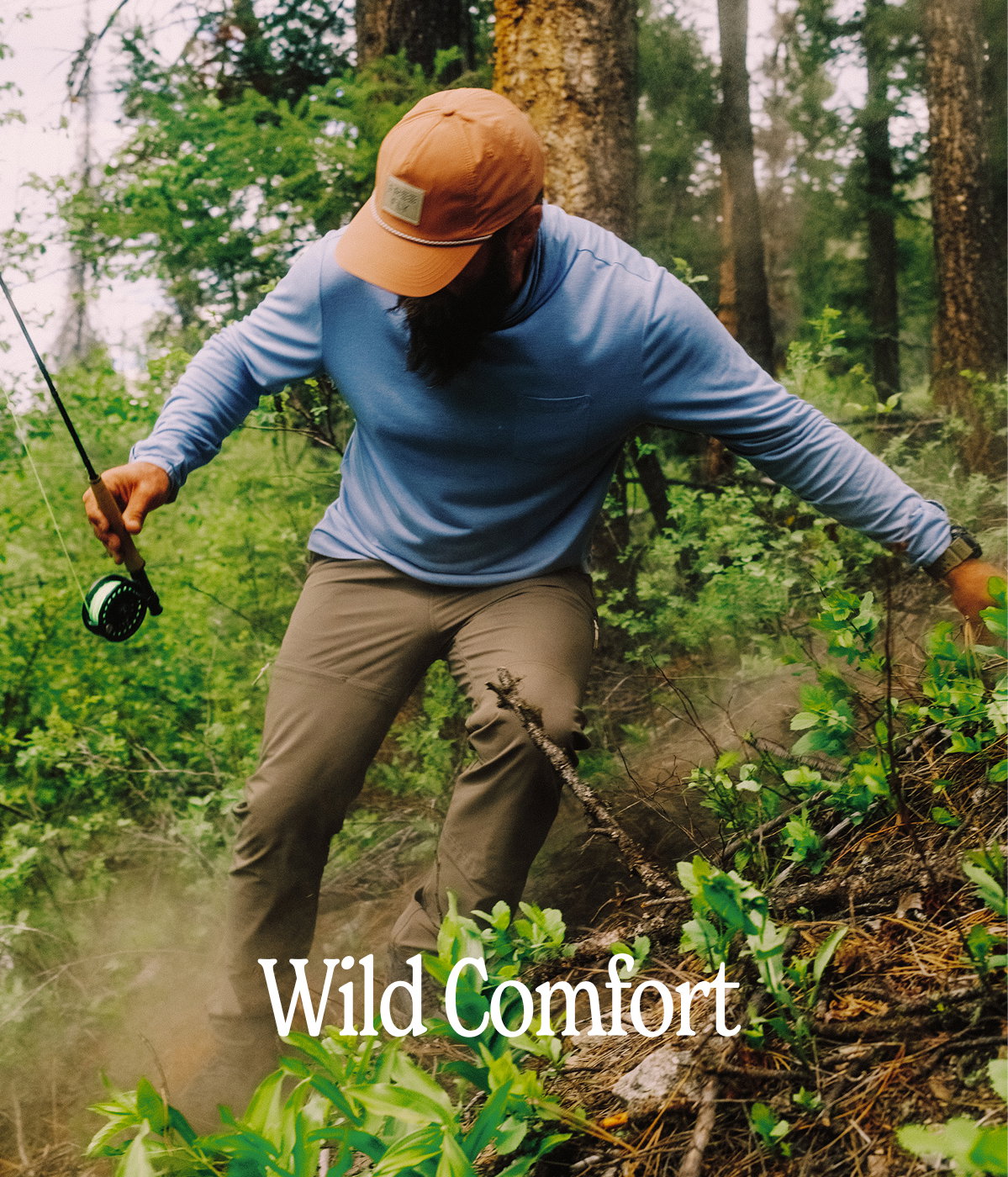 Wild Comfort