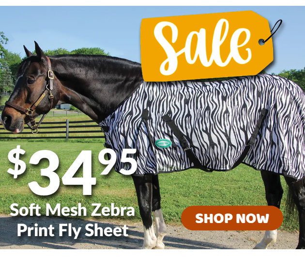 Zebra fly sheet sale
