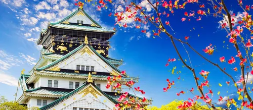 product_2_img_15550_Asie_Japon