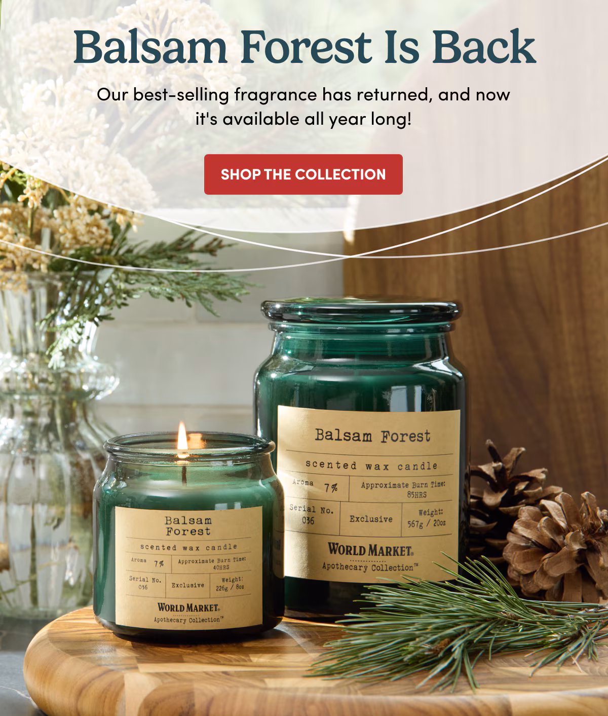 Balsam Forest Is Back Our best-selling fragrance has returned, and now it's available all year long! Shop the Collection