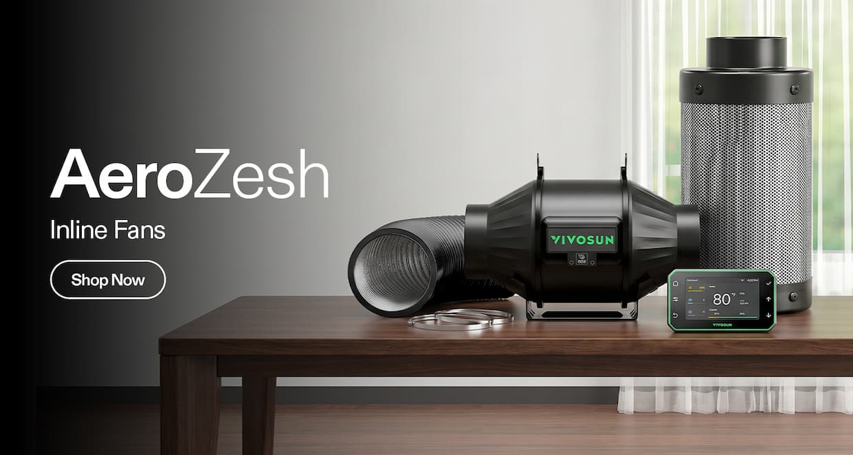 AEROZESH