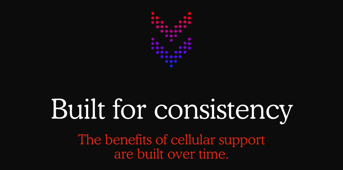 Built for consistency