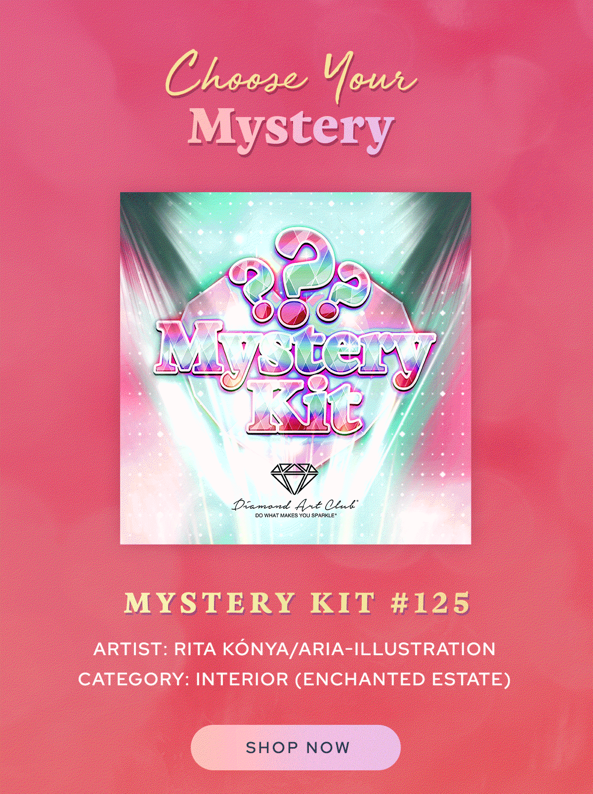 Mystery Kit 125