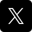 x icon