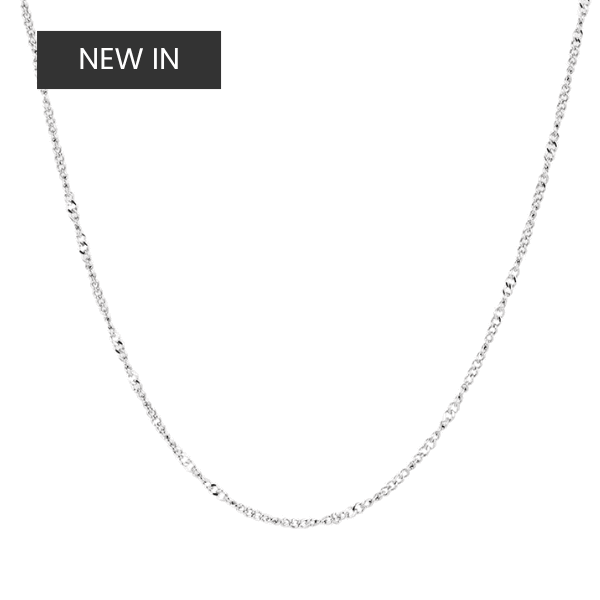 Silver Curb Charm Necklace