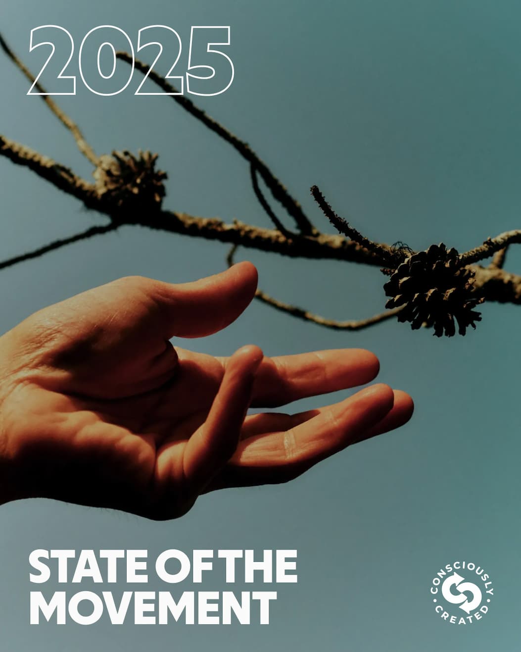 2025 Impact Report