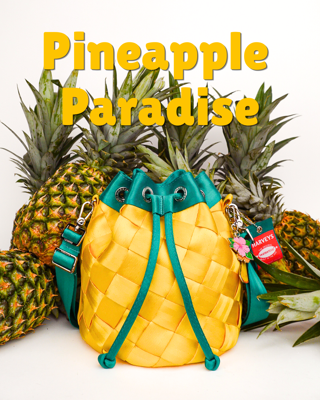 Pineapple Park Hopper